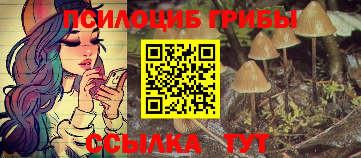 Галлюциногенные грибы мухоморы Фрязино