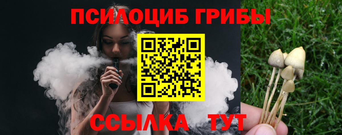 Фрязино  Галлюциногенные грибы Psilocybe  Вход с VPN  Галлюциногенные грибы прущие грибы 